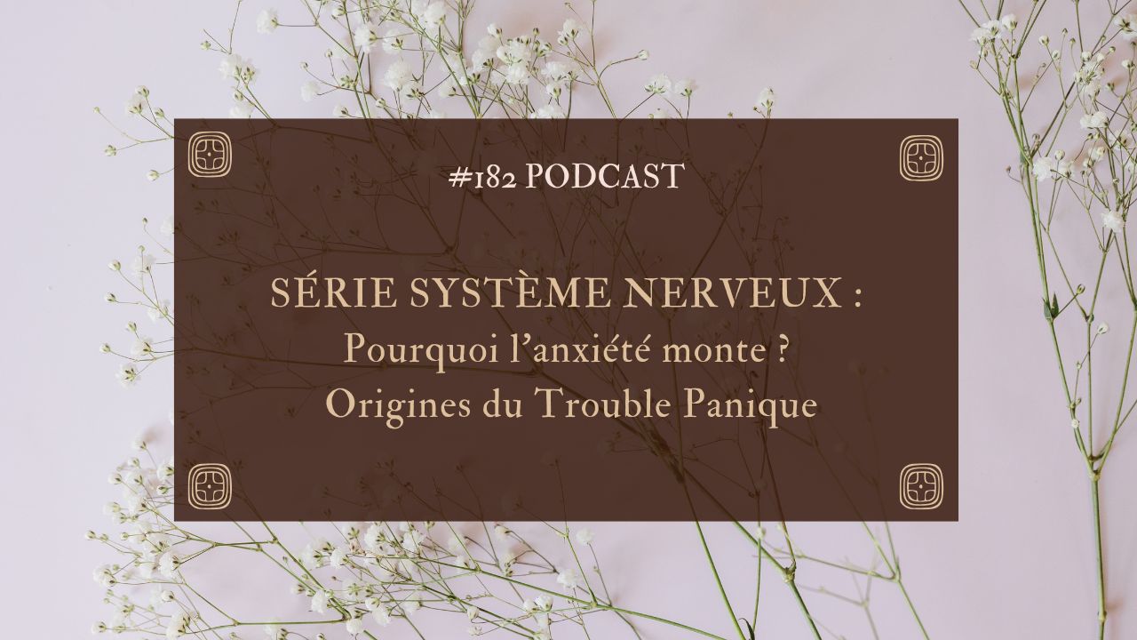 Série Système nerveux : Pourquoi l’anxiété monte ? Origines du Trouble Panique