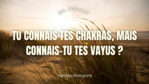 1. Anatomie subtile : les 5 vayus expliqués simplement